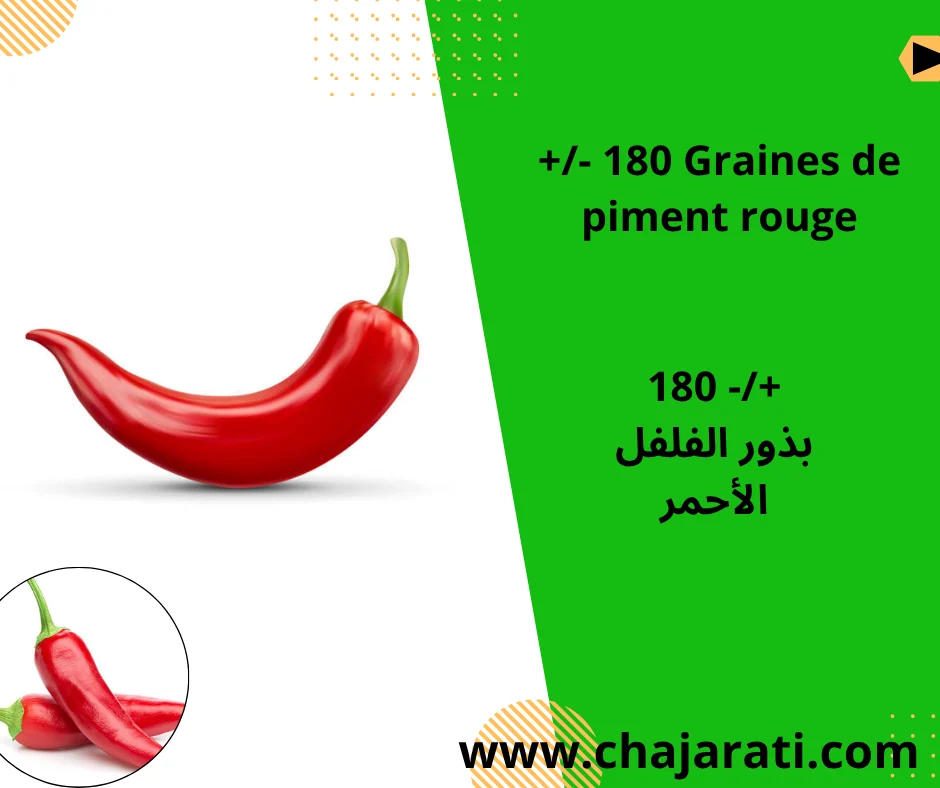 Graines de piment rouge – بذور الفلفل الأحمر