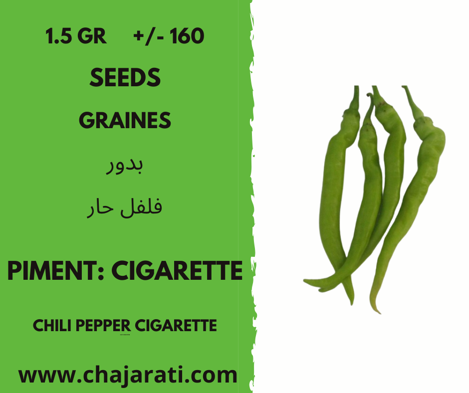 piment cigarette chajarati