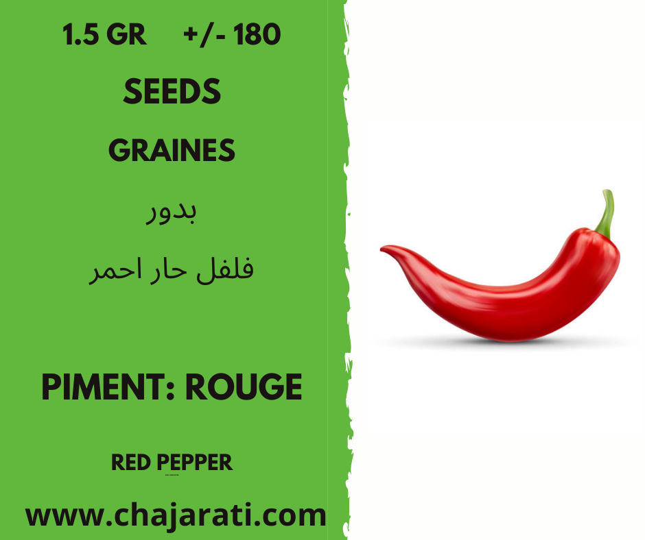 piment rouge chajarati