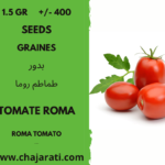 1.5 Gr +/- 400 graines de tomate roma - seeds roma tomato Algerie