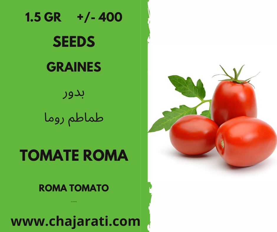 tomate roma chajarati