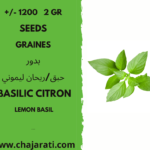 +/- 1200 2 Gr graines de BASILIC CITRON