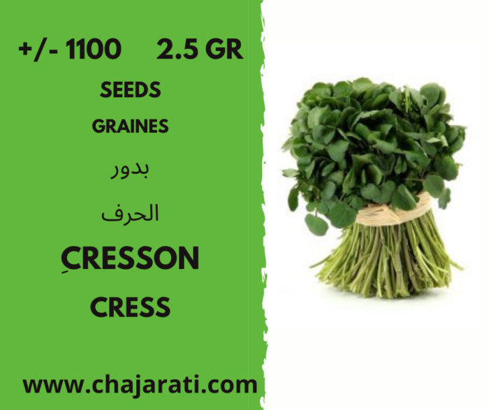 graines de cresson َAlgerie بدور