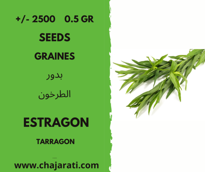 +/- 2500 0.5 Gr graines d'estragon Algerie