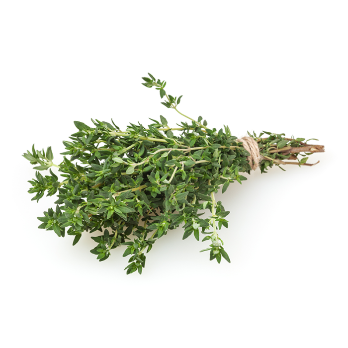 +/- 1500 Graines de Thym - thyme seeds – Image 5
