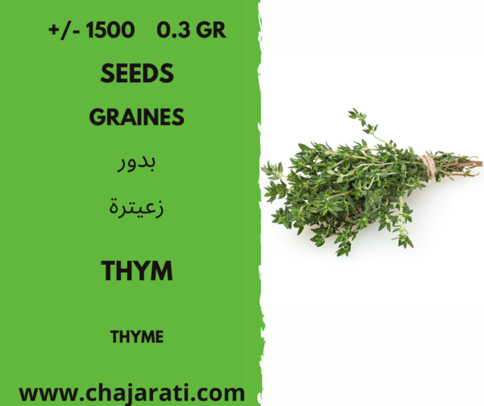 +/- 1500 0.3 Gr graines de Thym - thyme seeds