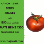 +/- 400 1.5 Gr graines tomate Heinz 1350