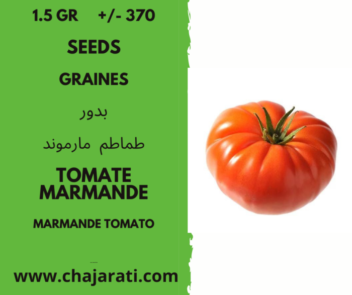 +/- 370 graines de tomate marmande Algerie