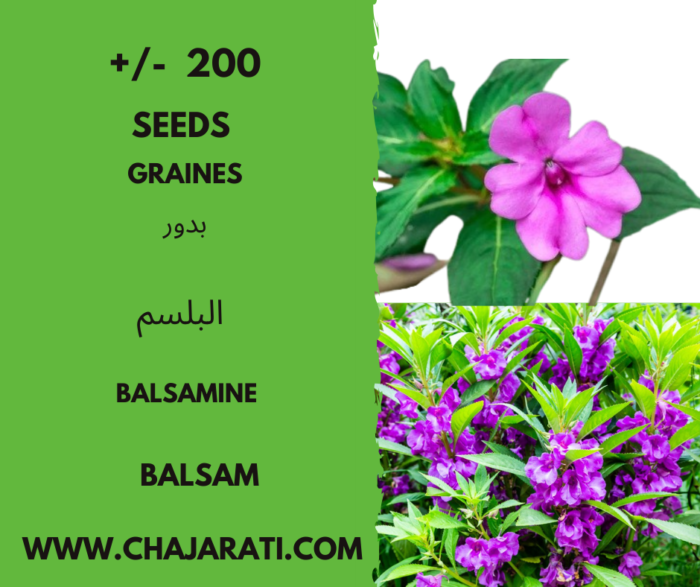 Graines de Balsamine - Balsam seeds