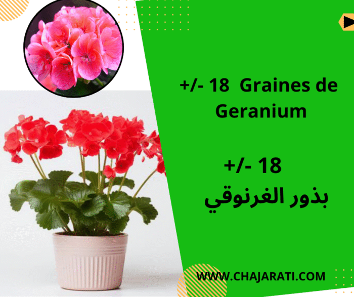 Graines de Géranium بذور الغرنوقي