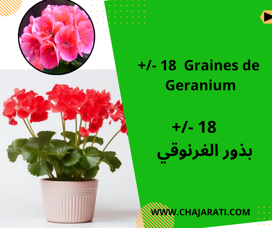 Graines de Géranium