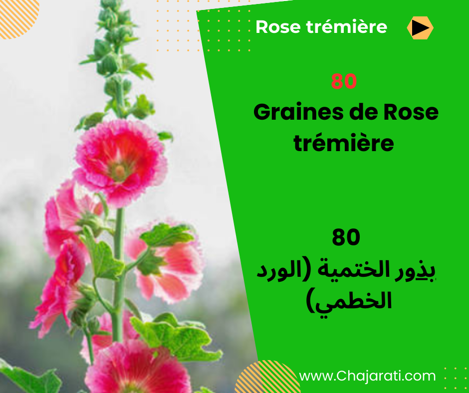 Graines de Rose trémière