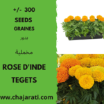 Graines de Rose d'Inde