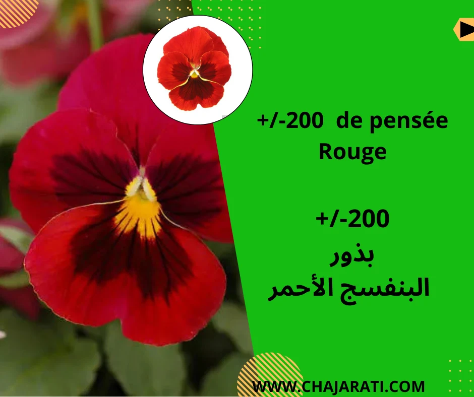 Yellow and White Geometric Business Consultant Facebook Post – 2025-12-21T105243.639