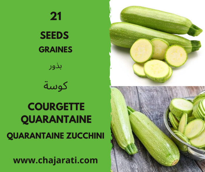 graines de courgette Quarantaine