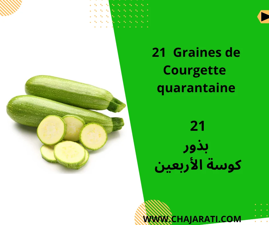 21Graines de Courgette quarantaine