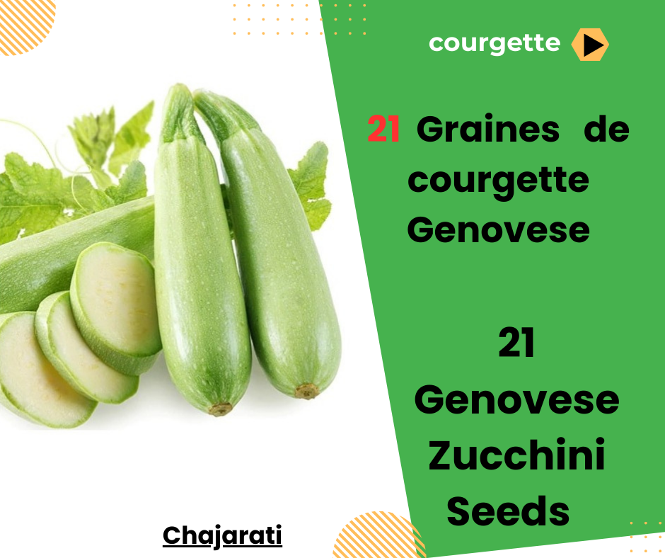 courgette Genovese