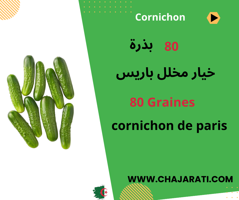 graines de Cornichon de Paris