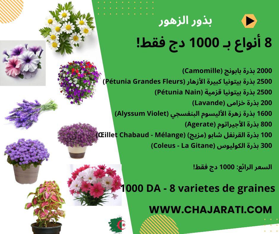 Pack de graines de fleurs