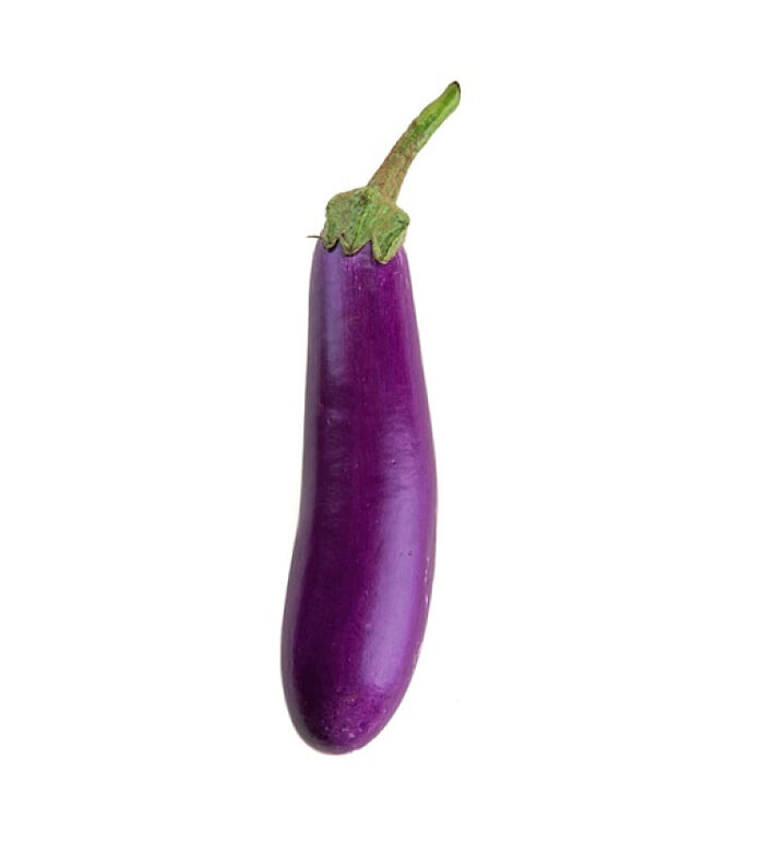 Aubergine Longue Violette بذور الباذنجان البنفسجي الطويل