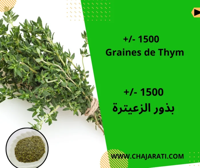 Graines de Thym - thyme seeds - بذور زعيترة