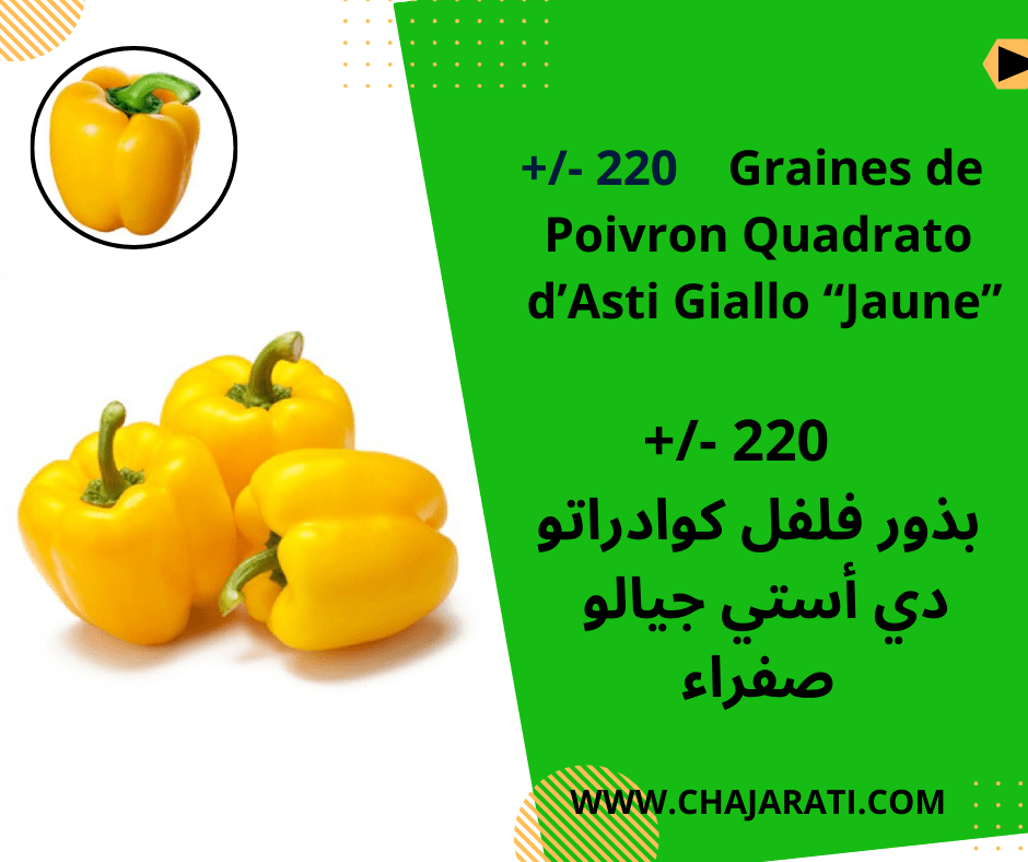 Graines de Poivron Quadrato d’Asti Giallo