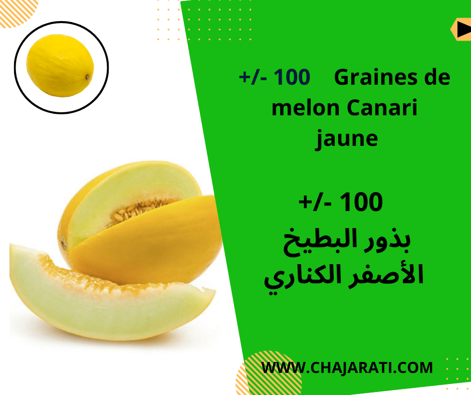 Graines de melon