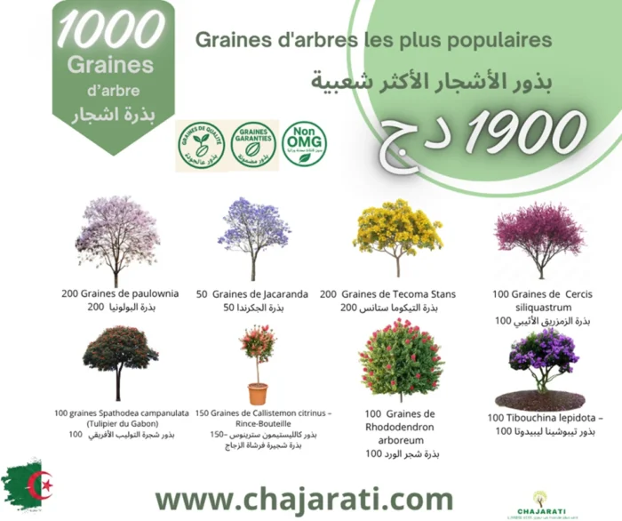 pack de graines d'arbre