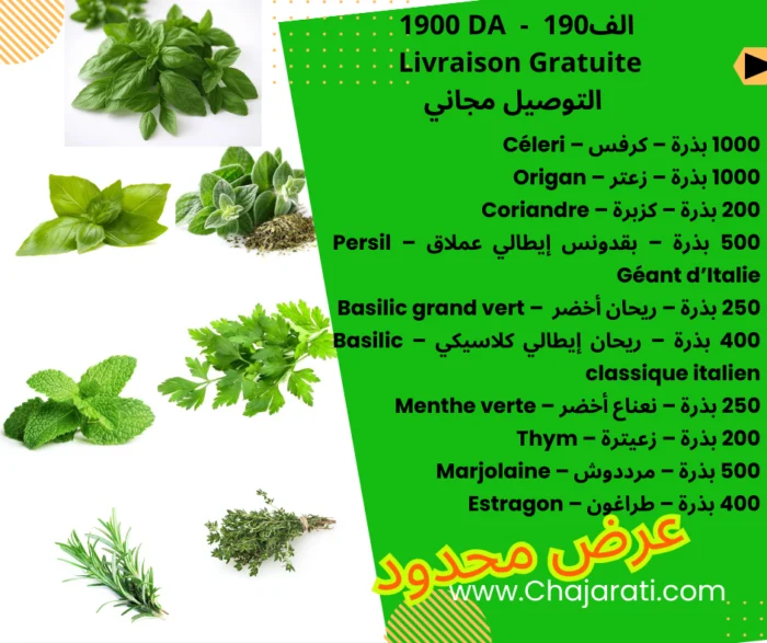 Pack Jardin Économique graines بذور