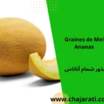 Graines de Melon Ananas