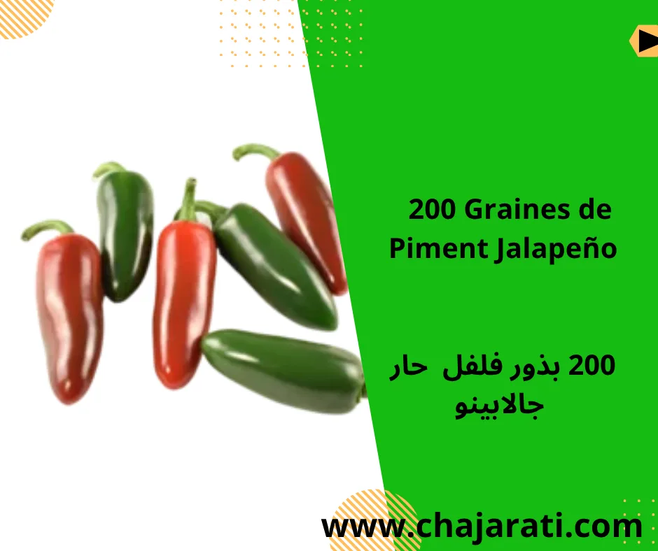 Graines de Piment Jalapeño – بذور فلفل حار جالابينو
