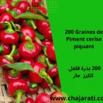 Graines de Piment cerise piquant - بذور فلفل الكرز حار