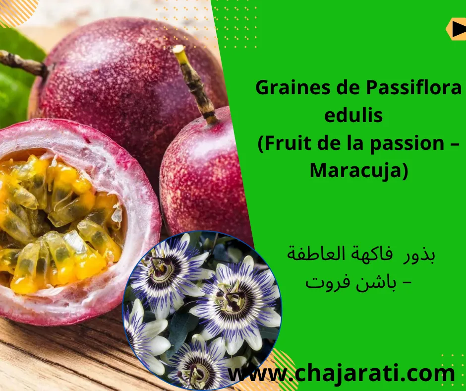 Graines de Passiflora edulis  (Fruit de la passion –
