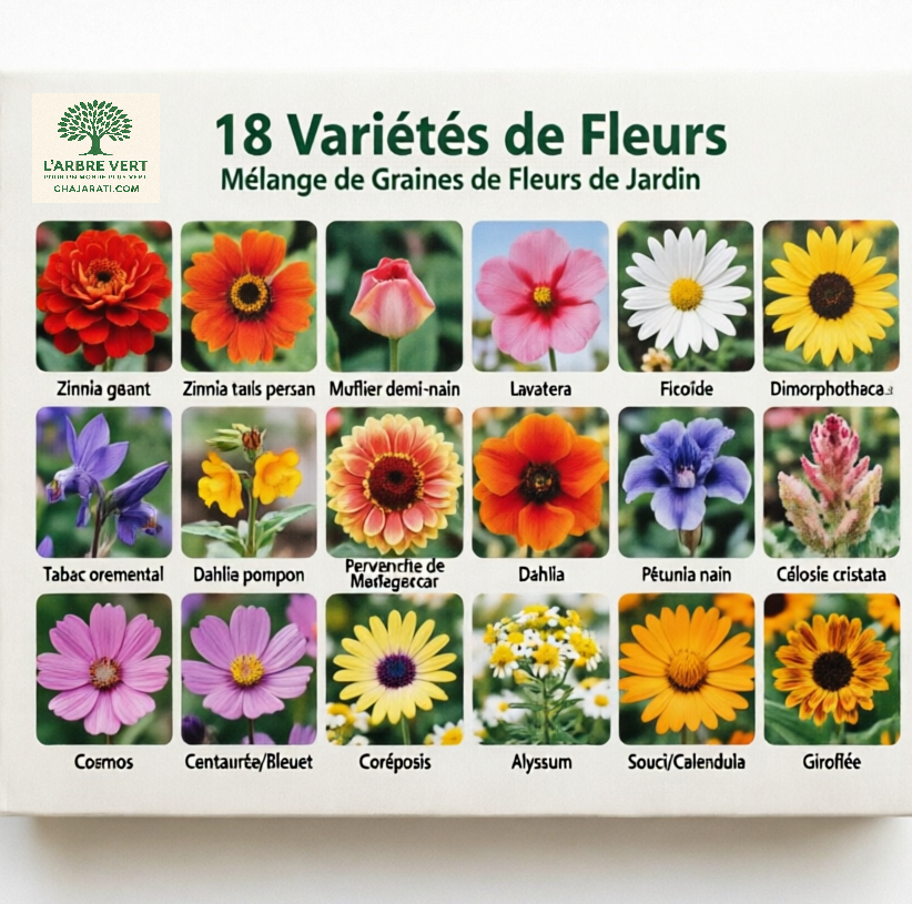 Graines – Mélange de 18 variétés de fleurs